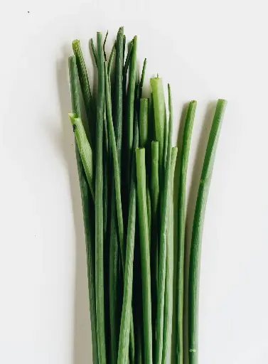 中國大蒜韭菜