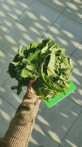 空心菜 （Ong Choy）