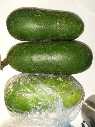毛葫蘆